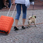DSC06006.JPG