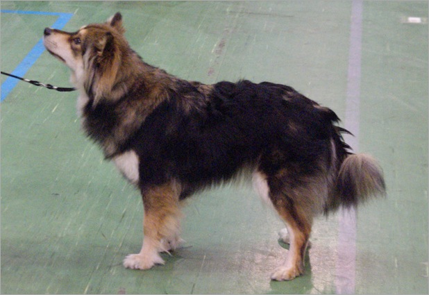 jula09 136