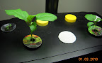 4 week bambino eggplant, and some peppermint. Right plant germinated ~9 days later. Now in Deluxe for more light.