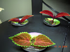 Coleus cuttings to restart coleus (maybe also snapdragon...) garden