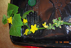 6 week dishtub cuke, male flowers like mad. But - keeps losing leaves. And little leaves (there's one at the right, posing as a bud) don't grow big.
