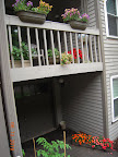 mid-deck and impatiens
