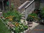 Hibiscus first flowers. May have overfertilized it :/ Vinca finally pulling their weight. Any remaining pansies are doomed.