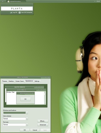 Planta,windows style xp theme  download，visual styles，xp佈景主題vista教學下載