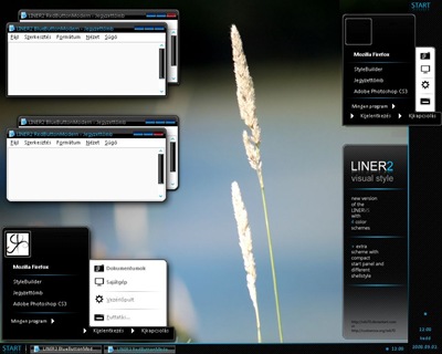 LINER2_by_reb70,windows style xp theme  download，visual styles，xp佈景主題vista教學下載