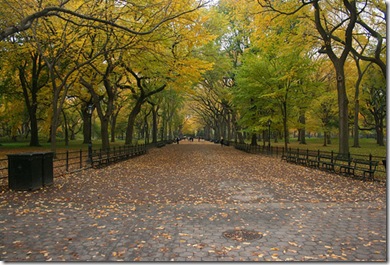 autumn in NYC