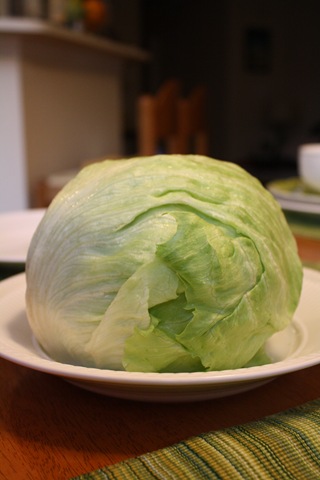 [lettuce[3].jpg]