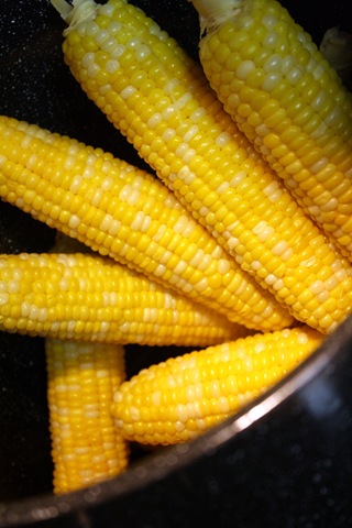 [corn 2[4].jpg]