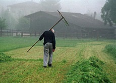 [sriimg20060707_6876790_0[3].jpg]