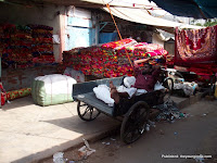 International Carpet Seller: Meena Bazaar, Delhi