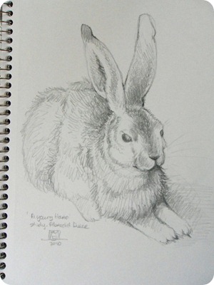 bunny-drawing-full