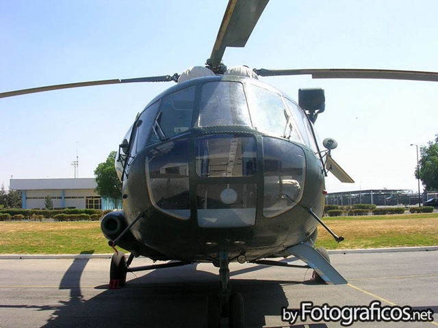 [Fuerza aérea mexicana14[2].jpg]