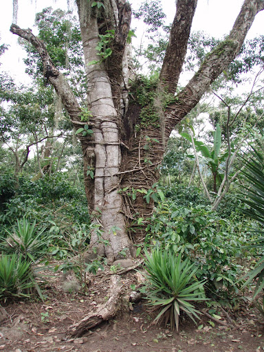 PA010070.JPG