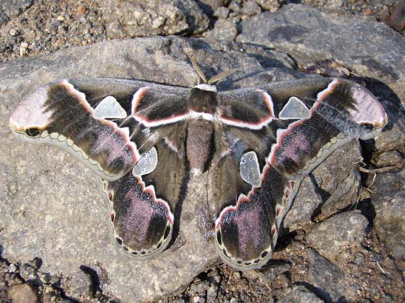 PA050082.JPG
