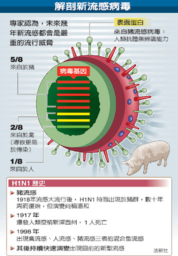 解剖新流感病毒 看H1N1歷史.jpg 解剖新流感病毒 看H1N1歷史