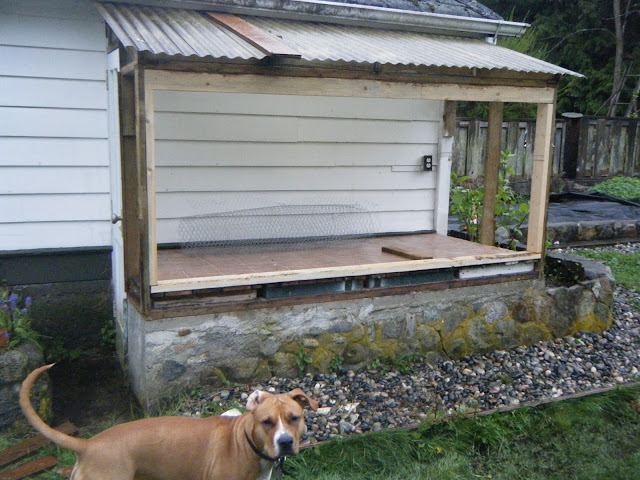 The great greenhouse to chicken coop project The great greenhouse to chicken coop project