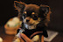 DSC_7991.JPG