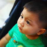 Monterey Aquarium 2009