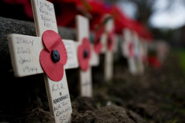 [poppies1[3].jpg]