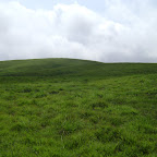 Uppupara