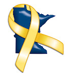 Minnesota National Guard "Beyond the Yellow Ribbon"