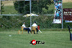 20080628 EX Opatovice 037.jpg