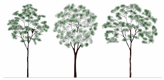Tree CAD Blocks