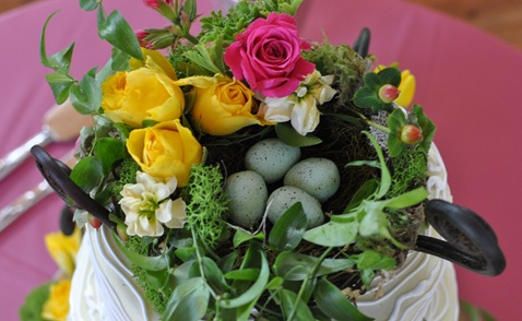 DSC_1956 DSC_1956