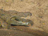 59.JPG