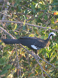 IMG_0845.JPG