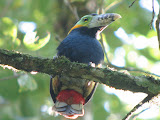 IMG_9853.JPG