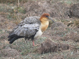IMG_0837.JPG