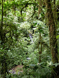 DSCN9341.JPG