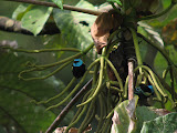 IMG_0919.JPG