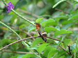 IMG_1080.JPG
