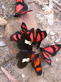 DSCN9346.JPG