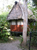 DSCN9557.JPG