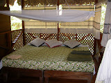DSCN9507.JPG