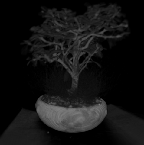 [bonsai[8].png]