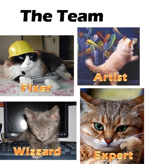 Games, Art and Design The complete cat strategy guide for game production