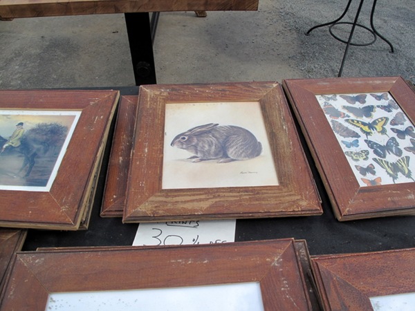 IMG_1796 IMG_1796