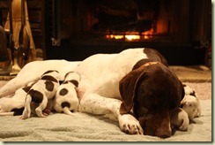 IMG_0936 IMG_0936