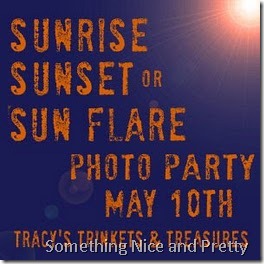 sunphotoparty