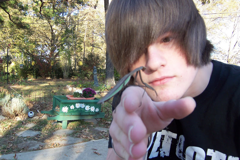 In the Garden: November 2010