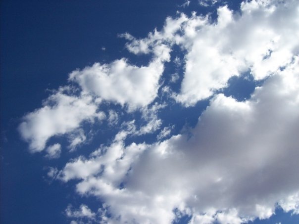 [20252_1313503083474_1407591571_912971_1101592_n[2].jpg]