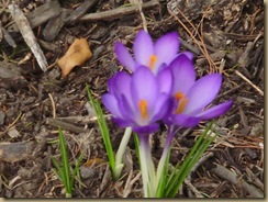 20100321_190