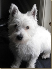 Charlie