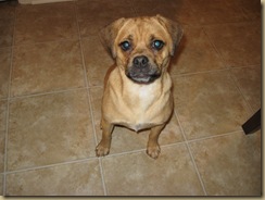 Lucy