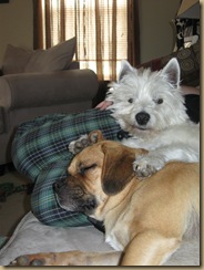 Snuggle1