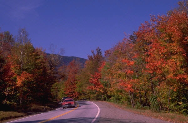 [autumn road[2].jpg]